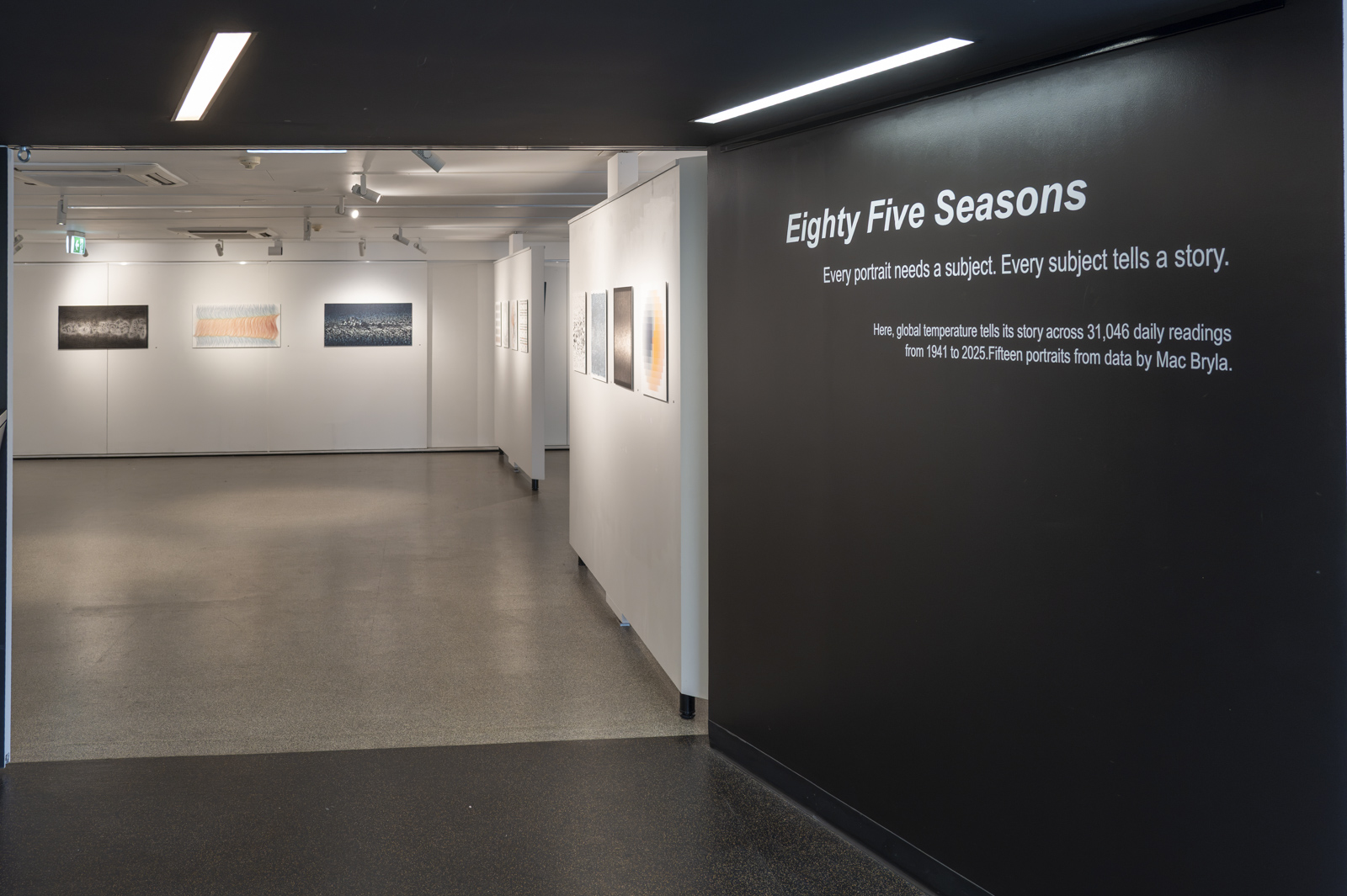 Opening night at Gallery Lane Cove
