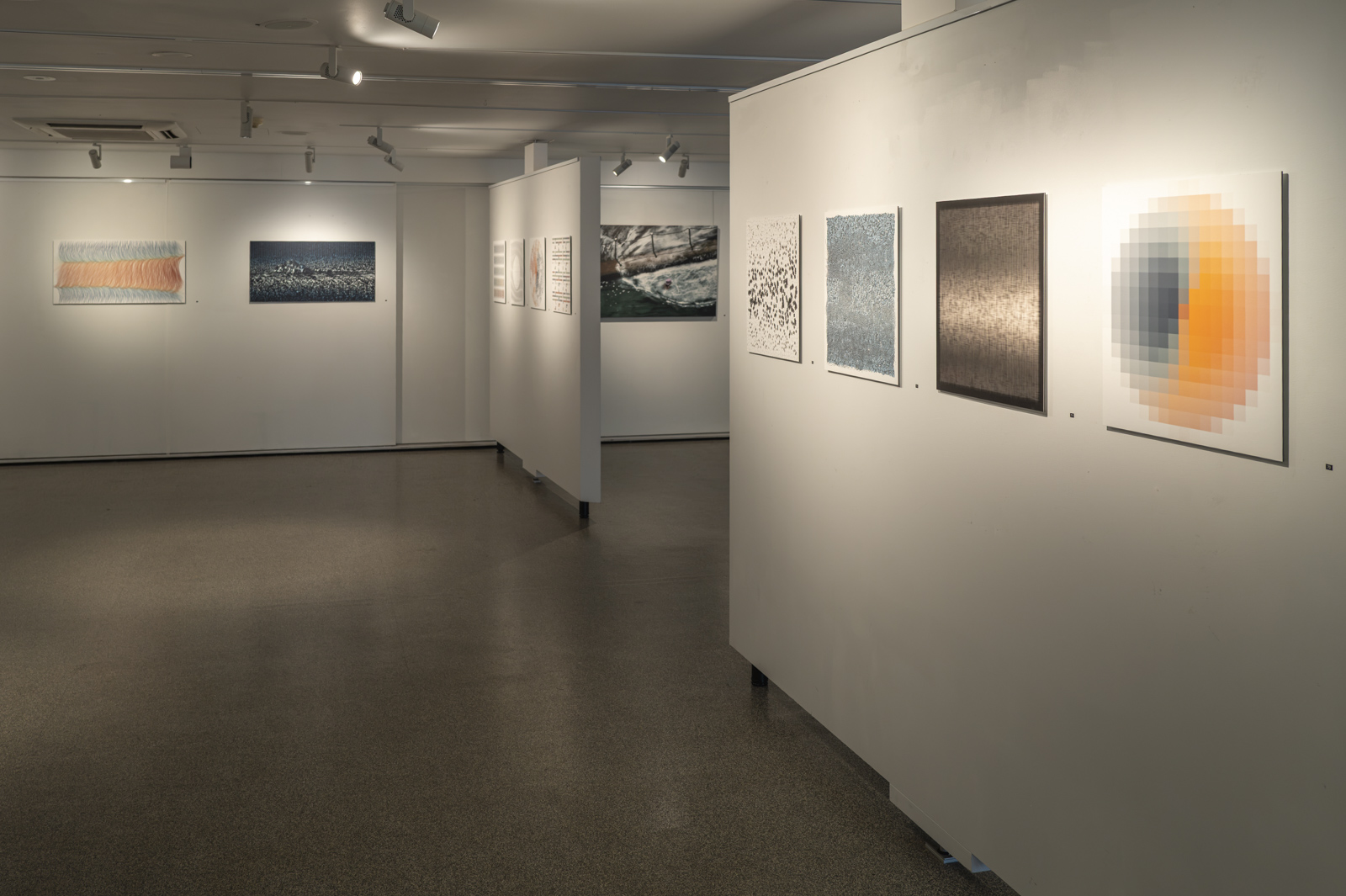 Opening night at Gallery Lane Cove
