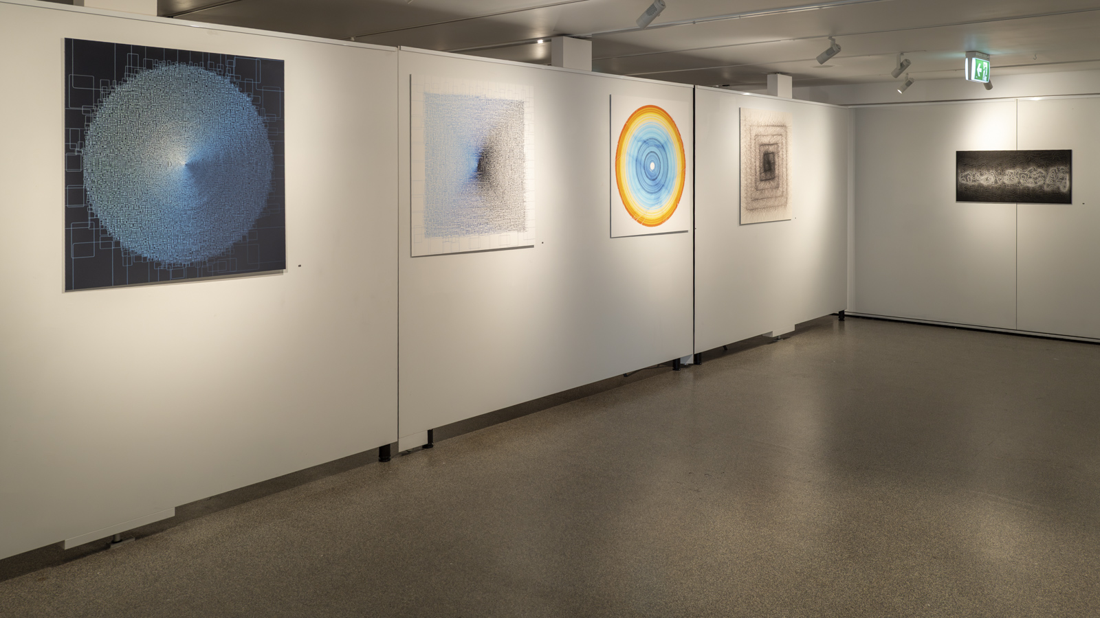 Opening night at Gallery Lane Cove